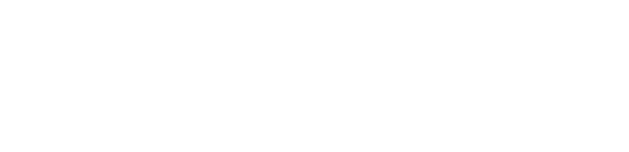 Paypal Zahlungsweise Icon